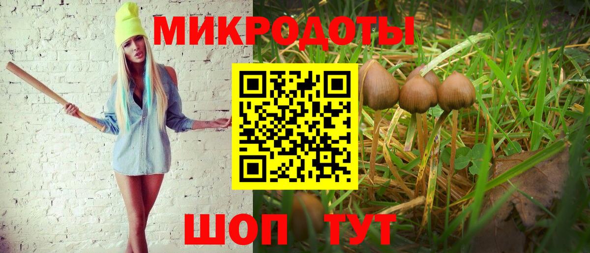 Галлюциногенные грибы Psilocybe  Галлюциногенные грибы ЛСД  Набережные Челны  купить наркоту  Вход с VPN 