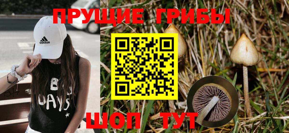 Галлюциногенные грибы GOLDEN TEACHER Набережные Челны